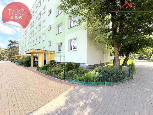 Antoniego Bolta 63,85 m², Toruń