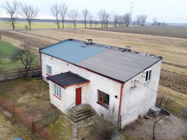 Antoniowska 75,50 m², Widzów