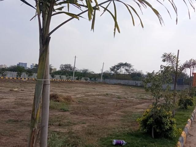 Anu Infra 165 Sq.Yd. Plot in Shadnagar Hyderabad Listing ID: #10195