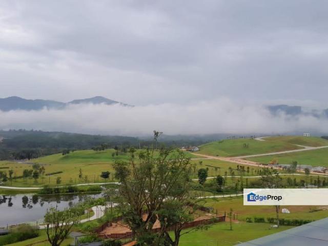 Anyara Hills