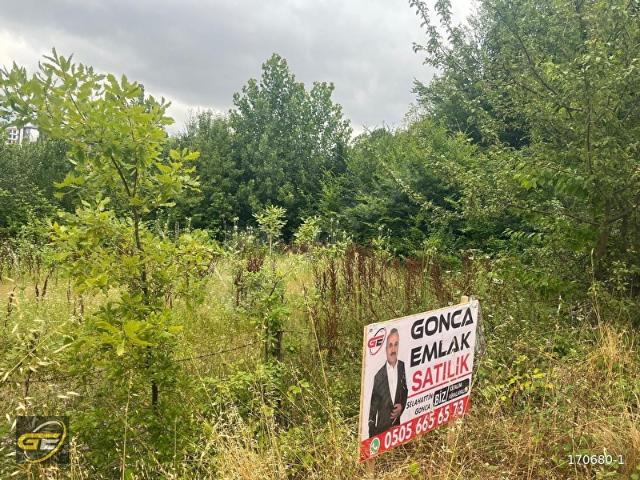 ASARCIKTA GONCA EMLAK' tan SATILIK 377 m2 ARSA
