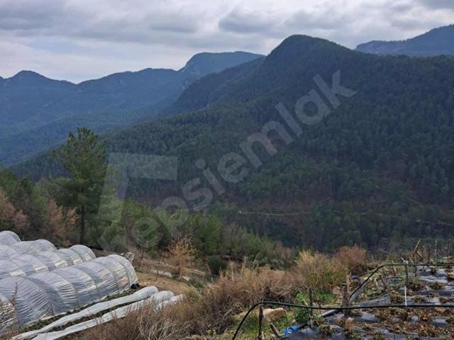 ASFALT KENARI MÜSTAKİL TAPU SORUNSUZ ARAZİ