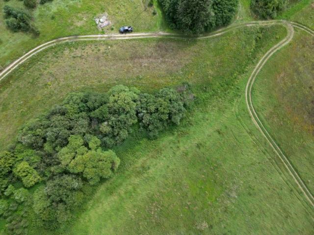 Asfaltowa 20 000 m², Ełganowo