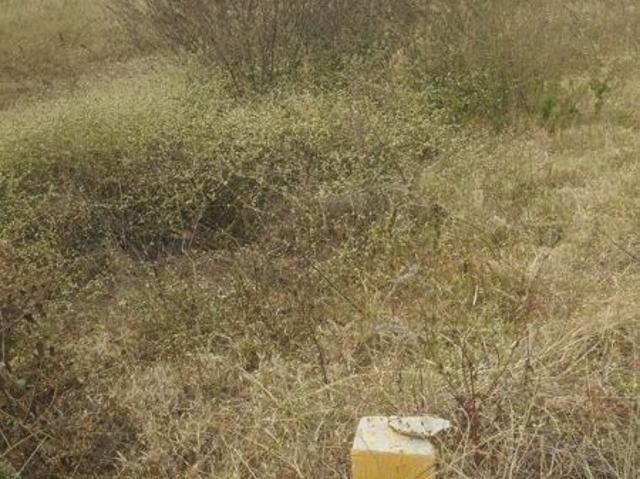 Asha Township Doddagubbi Bangalore 2400 Sq. Ft. Plot in Doddagubbi Bangalore Listing ID: #10027