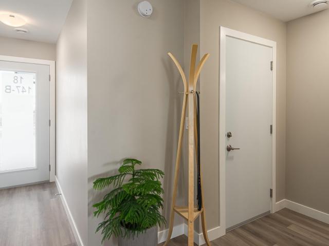 Ashford Lane Champ [object Promise] for Rent