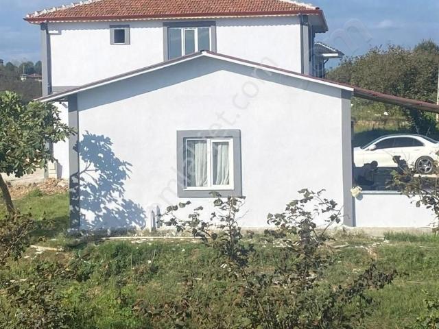 Ashill'den Denize Yakın Mustakil Ev Ve Arazisi