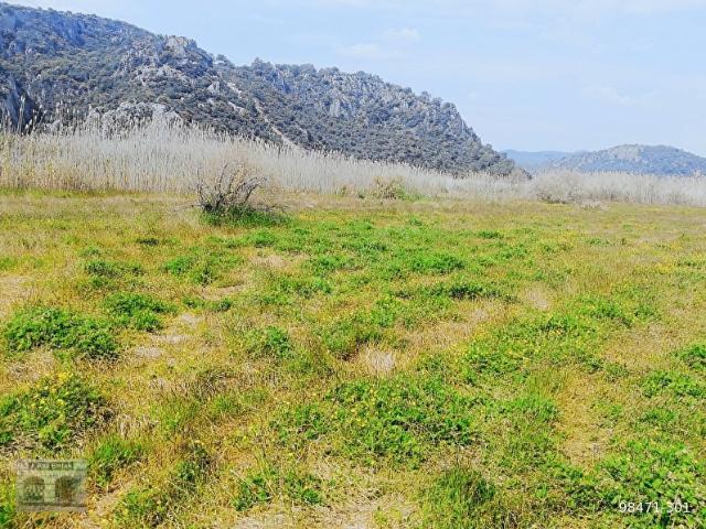 Asil Emlaktan Güzelyurt Akdoğan da Satılık Tarla