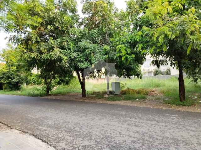 Askari 10 House