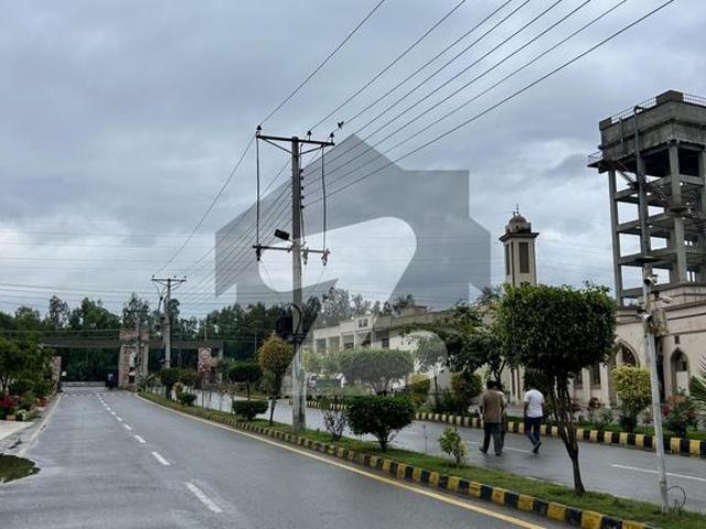 Askari 6