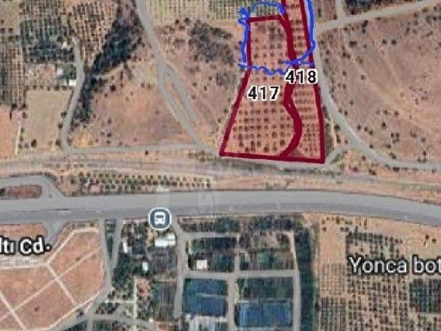 ASLANLAR KÖYÜNDE SUYU VE YOLU OLAN ZEYTİNLİK