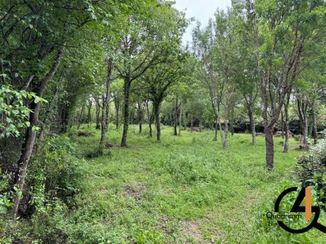 ASSAS TERRAIN A BATIR DE 1350m2