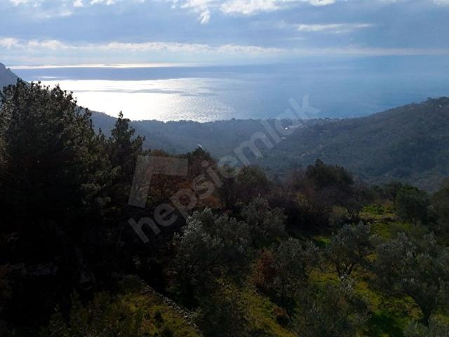 ASSOS'TA KAYALAR KÖYÜ, DENİZ MANZARALI İMAR SINIRI 665 M2 TARLA!