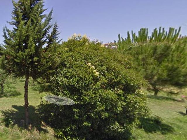 Aste residenziali appartamenti in vendita a Lucca