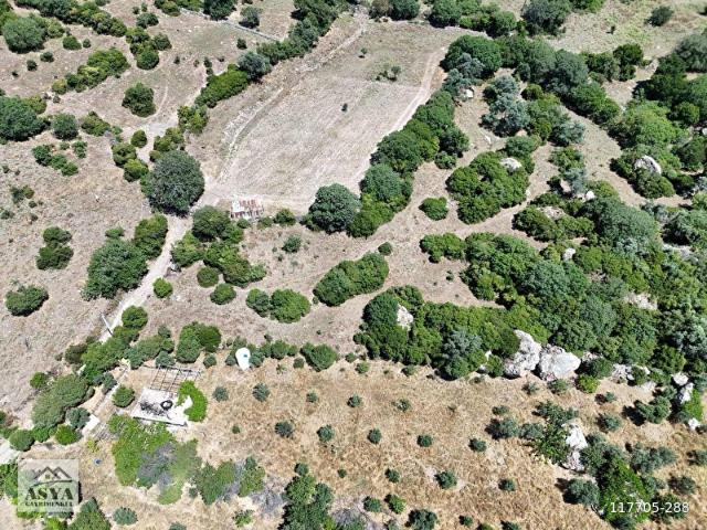 ASYA GAYRİMENKUL'DEN TURGUTREİSTE SATILIK 11.536 M2 TARLA