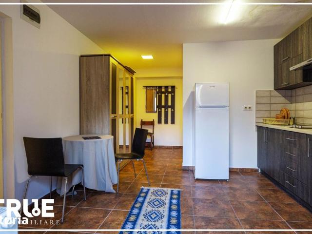 Ap. 2 camere de închiriat – Ultracentral, Târgu Mureș