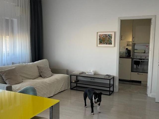 Ap 3 camere Jiului [ pet friendly ] mobilat utilat
