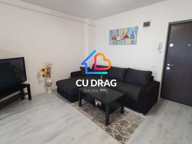 Ap de inchiriat Doamna Stanca