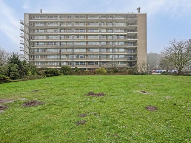 Apollolaan, 602, 2324CJ, Leiden, Zuid Holland 2324CJ