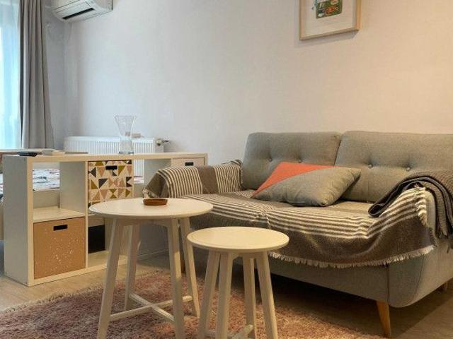 Aparatorii patriei tomesti maison 10