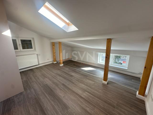 Aparment 4 camere I In vila I Ion Mihalache