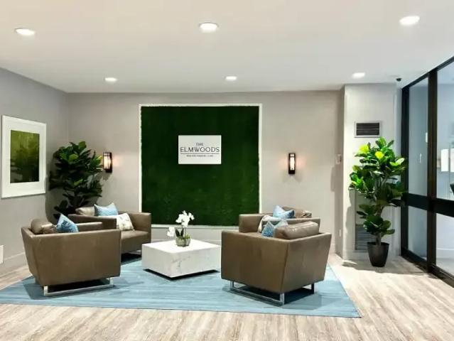 Apartment 3 Bedroom For Rent Mississauga ON 3300 ELS101338169