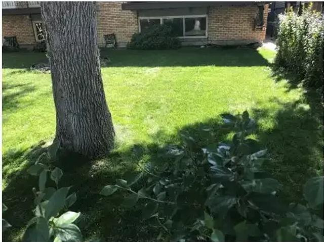 Apartment 3 Bedroom For Rent Calgary AB 1810 ES102951935