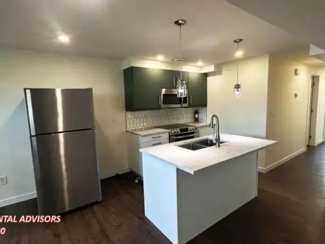 Apartment 3 Bedroom For Rent Edmonton AB 1295 ES102518760