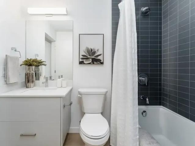 Apartment 3 Bedroom For Rent Edmonton AB 2470 ES96588501