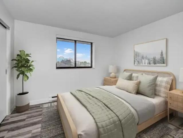 Apartment 3 Bedroom For Rent Waterloo ON 2450 ES102550871