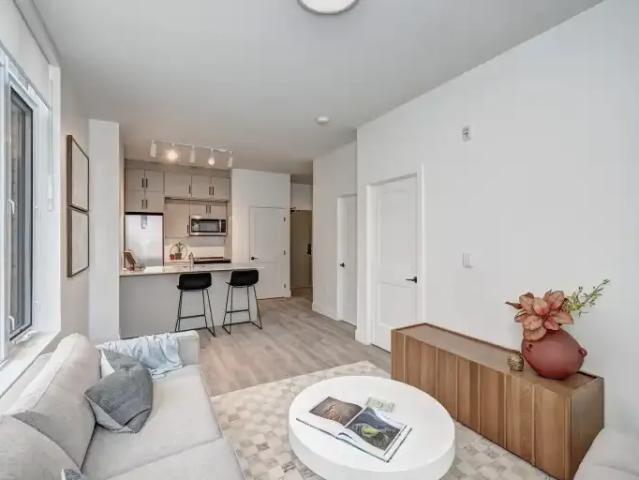 Apartment 1.5 Bedroom For Rent Kitchener ON 1950 ES102752479