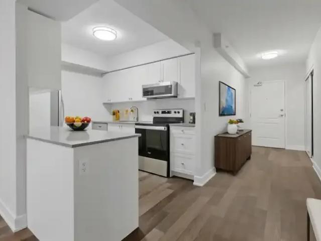 Apartment 1.5 Bedroom For Rent Kingston ON 2499 ES102017963