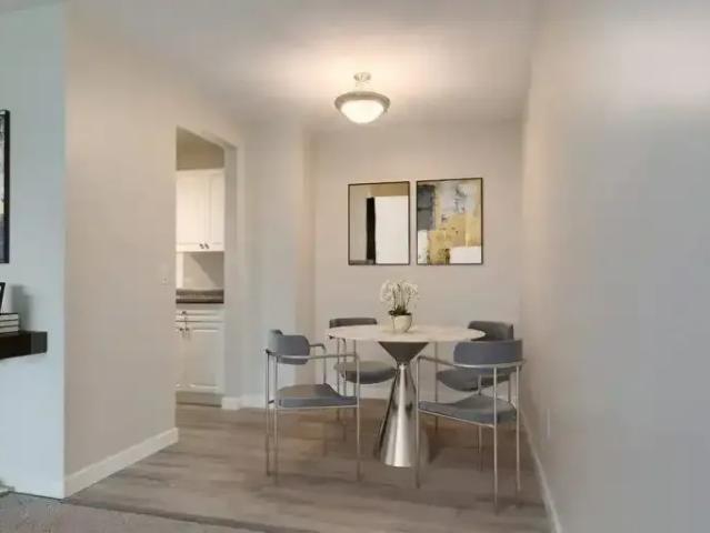 Apartment 1 Bedroom For Rent Medicine Hat AB 1100 ES104400317