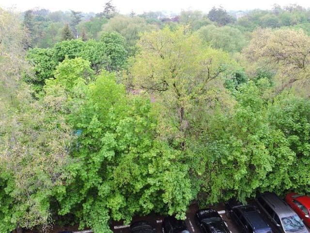 Apartment 1 Bedroom For Rent Mississauga ON 1750 ES90345607