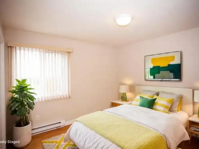 Apartment 1 Bedroom For Rent Moncton NB 1200 ES103694699