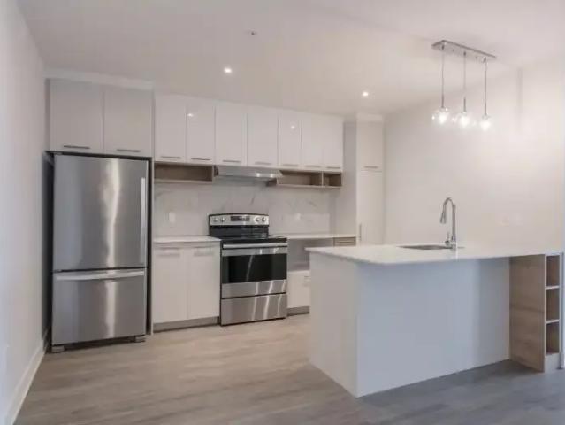 Apartment 1 Bedroom For Rent Montreal QC 1595 ES103424246