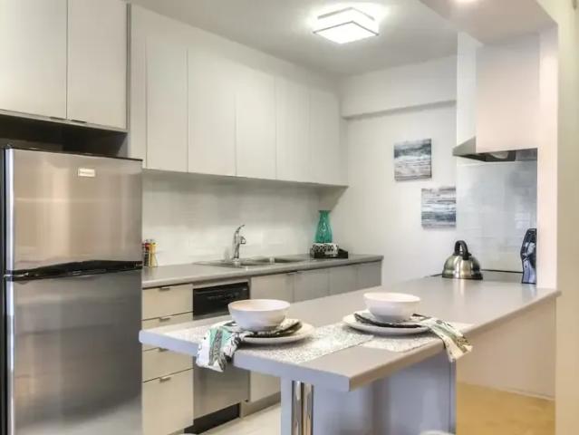 Apartment 1 Bedroom For Rent Montreal QC 1600 ES93691490