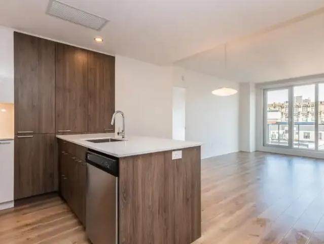 Apartment 1 Bedroom For Rent Montreal QC 1610 ES105134667