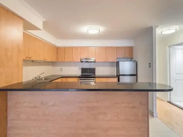 Apartment 1 Bedroom For Rent Montreal QC 1645 ES103878701