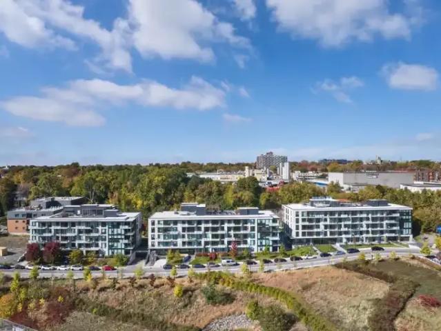 Apartment 1 Bedroom For Rent Montreal QC 1814 ES90303733
