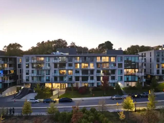 Apartment 1 Bedroom For Rent Montreal QC 1814 ES90303736