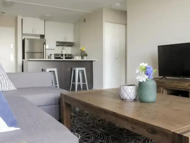 Apartment 1 Bedroom For Rent Montreal QC 1949 ES101474534