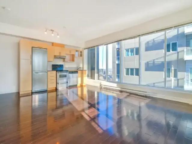 Apartment 1 Bedroom For Rent Montreal QC 1950 ES96248837