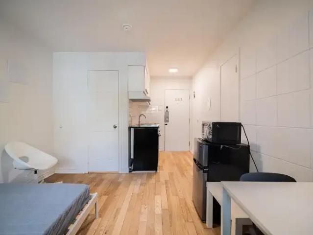 Apartment 1 Bedroom For Rent Montreal QC 1240 ES103958677