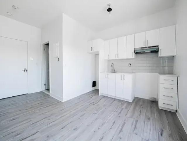 Apartment 1 Bedroom For Rent Montreal QC 1295 ELS95029453