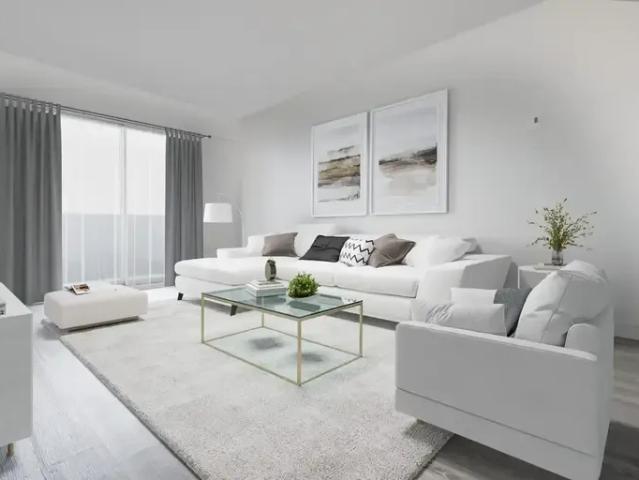 Apartment 1 Bedroom For Rent Montreal QC 1295 ES93077932