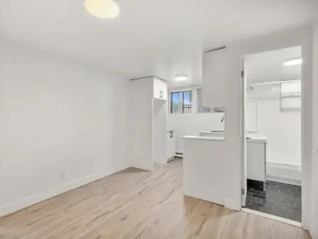 Apartment 1 Bedroom For Rent Montreal QC 1350 ES98340759