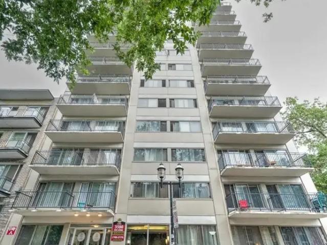 Apartment 1 Bedroom For Rent Montreal QC 1395 ELS97702596