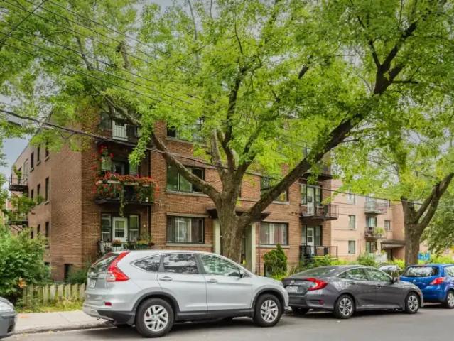 Apartment 1 Bedroom For Rent Montreal QC 1395 ES98186303