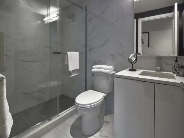 Apartment 1 Bedroom For Rent Montreal QC 2500 ELS100249448
