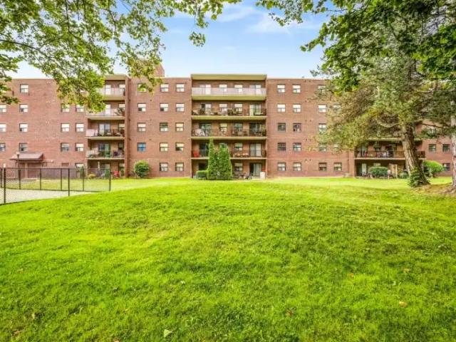 Apartment 1 Bedroom For Rent Niagara Falls ON 1725 ES101612061